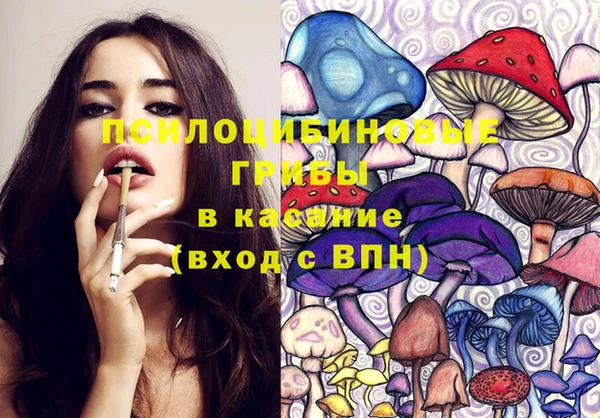 таблы Медвежьегорск