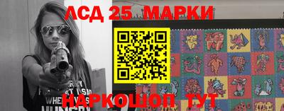 стафф Гай