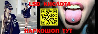 стафф Гай