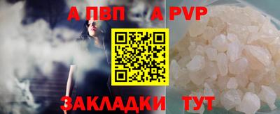 стафф Гай