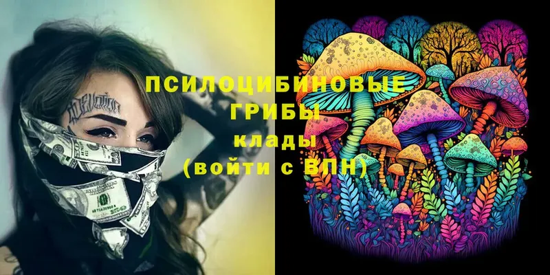 Галлюциногенные грибы Cubensis  купить  сайты  Костомукша 