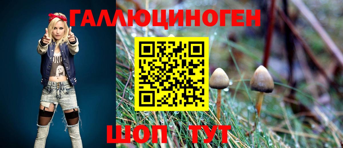 дарнет шоп  Костомукша  Галлюциногенные грибы Cubensis 