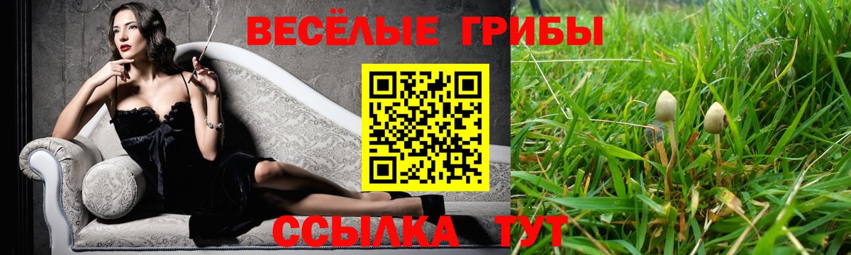 Галлюциногенные грибы GOLDEN TEACHER  Вход с VPN  Галлюциногенные грибы мицелий  Костомукша 